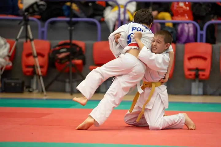 Proiecție completă — ippon
