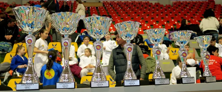 Trofee pregătite pentru cluburile câștigătoare